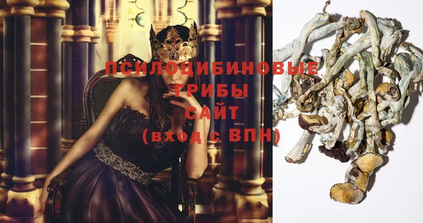 мескалин Абаза